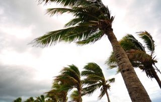 HOAs and COAs, Are You Ready for Hurricane Season?
