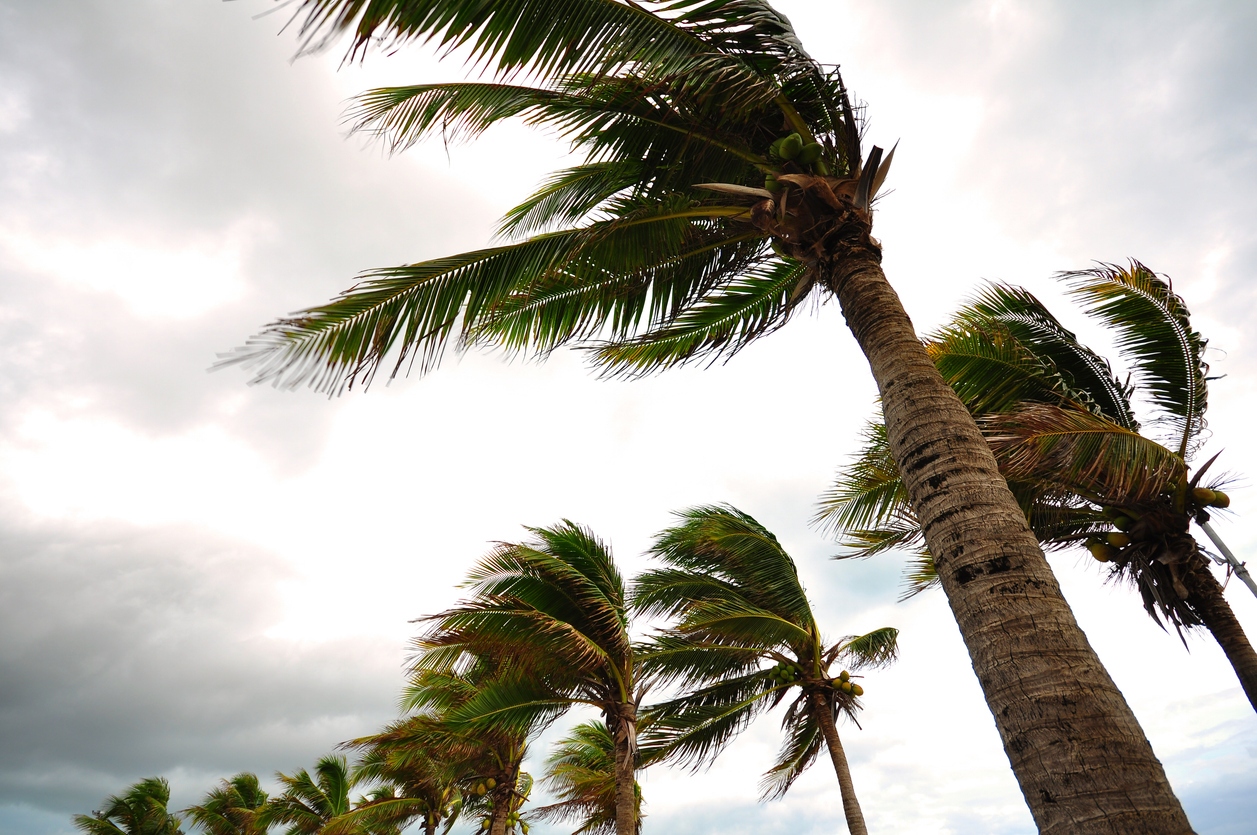 HOAs and COAs, Are You Ready for Hurricane Season?