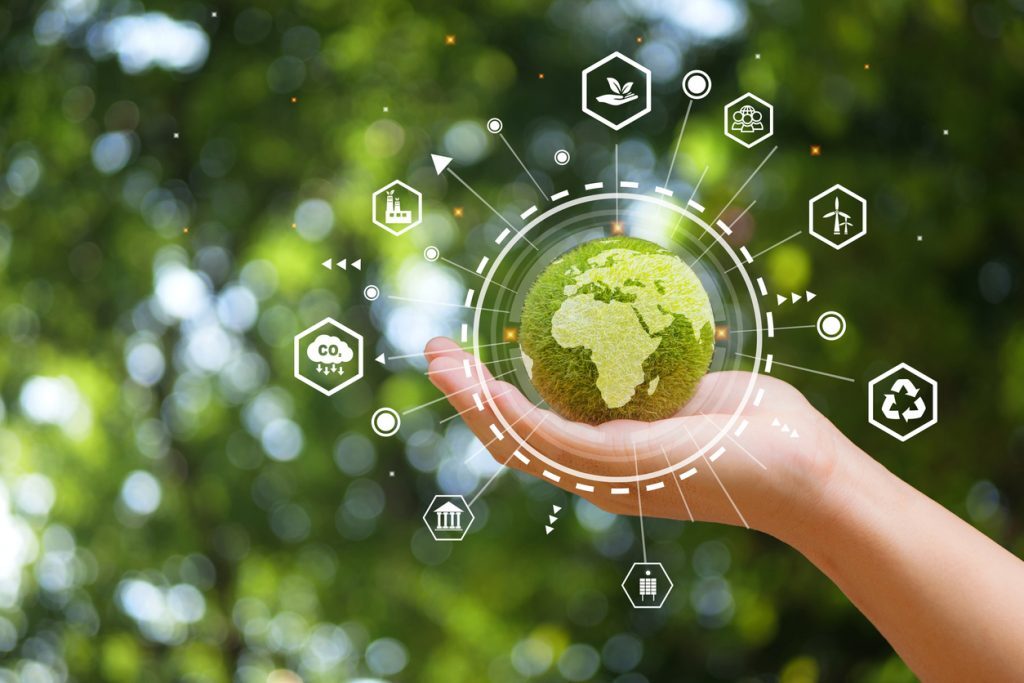 Zero waste practices and the role of structural engineers