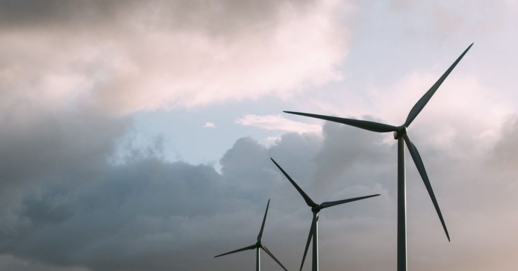 wind mitigation service tampa fl