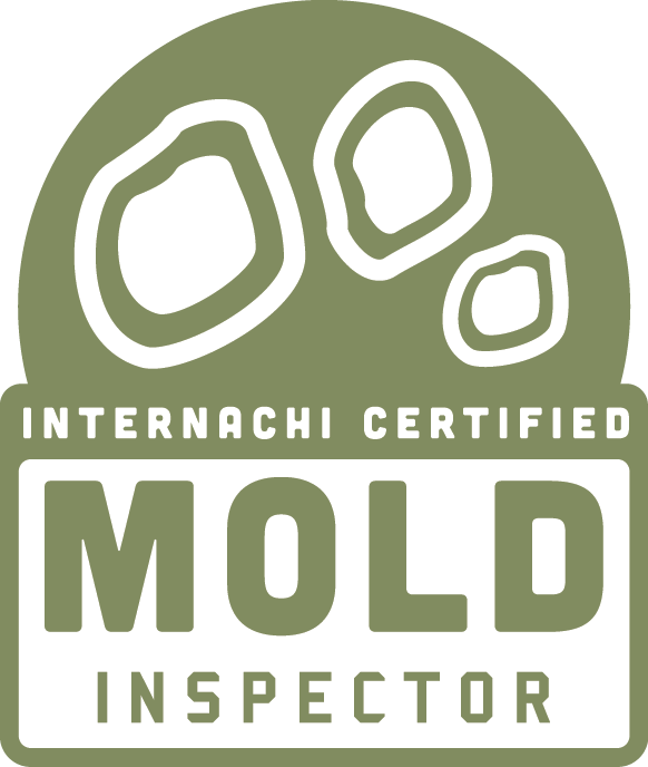 internachi certified mold inspector home inspector structural engineer construction tampa florida