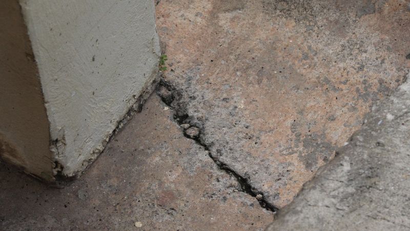 Home Inspector in St. Petersburg, FL