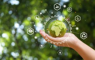 Zero waste practices and the role of structural engineers